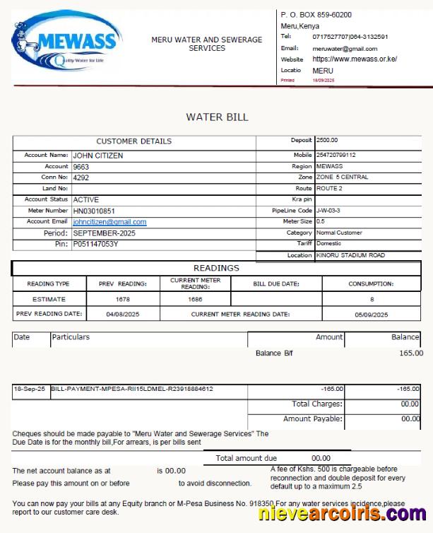 Kenya Meru Water and Sewerage Services utility bill